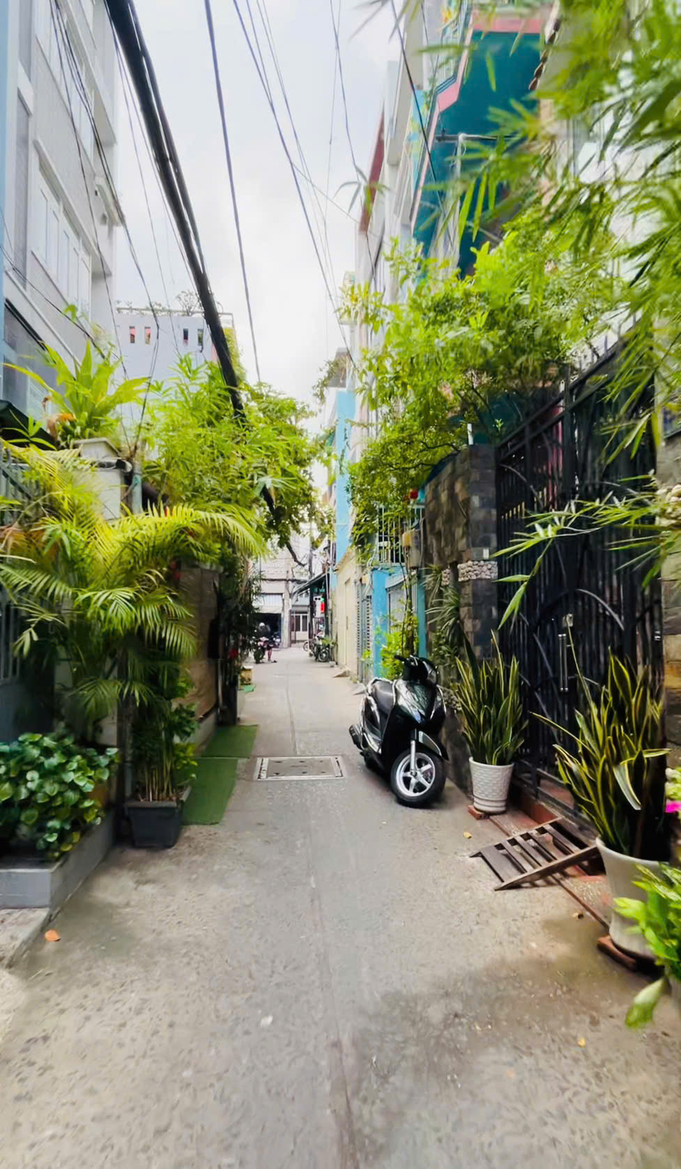 Bán Nhà Hẻm 277 Trường Chinh Phường 14 Tân Bình